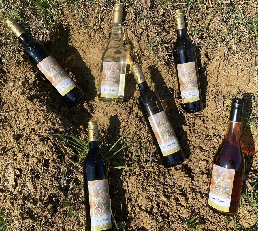 Weine vom Weingut Jauk-Wieser
