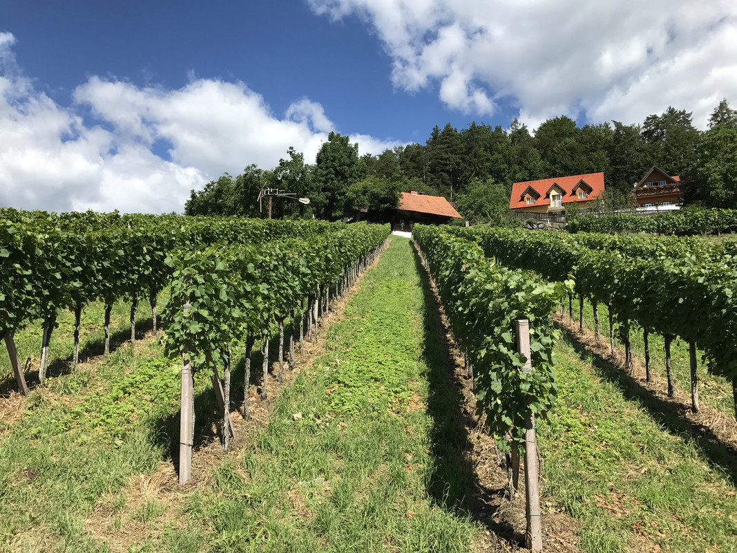 Weingut Jauk-Wieser