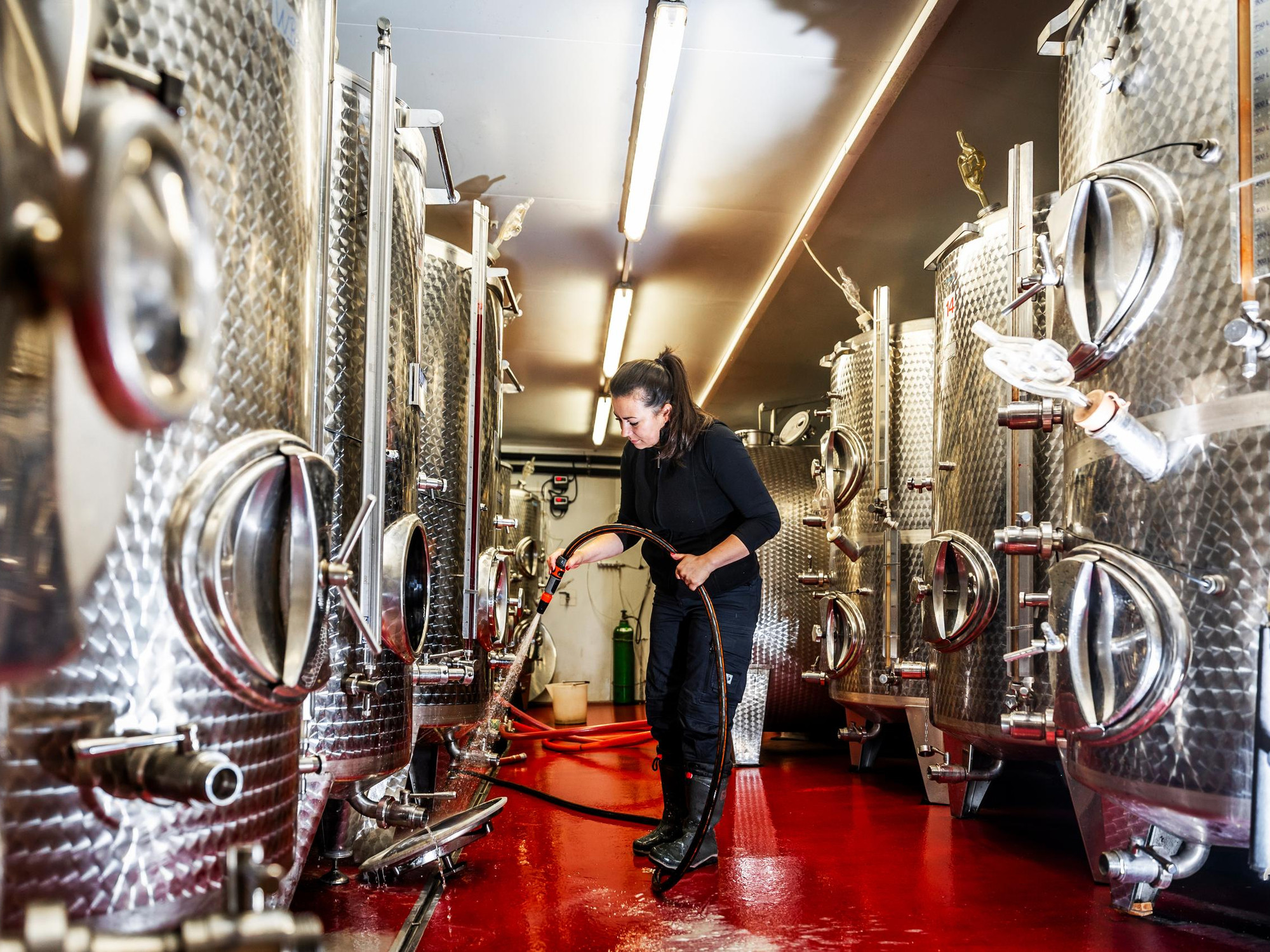 Weingut im Grünen